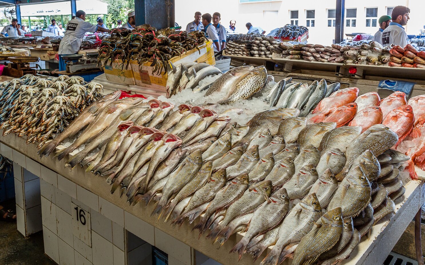 Где Можно Купить В Москве Рыб